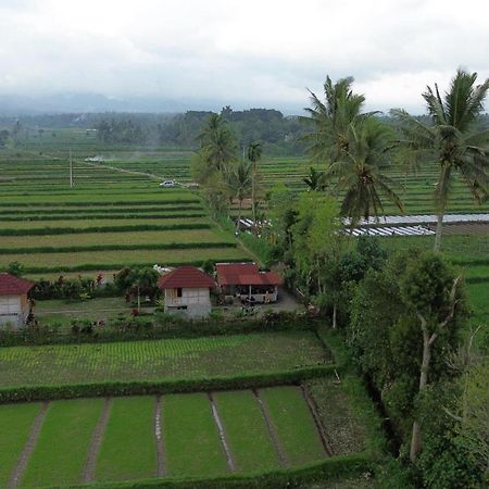 New Rinjani Homestay Tetebatu Exterior foto