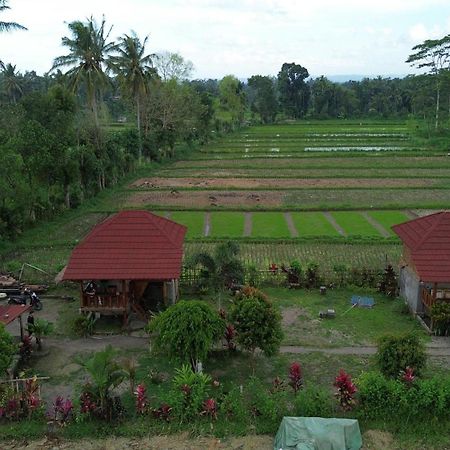 New Rinjani Homestay Tetebatu Exterior foto