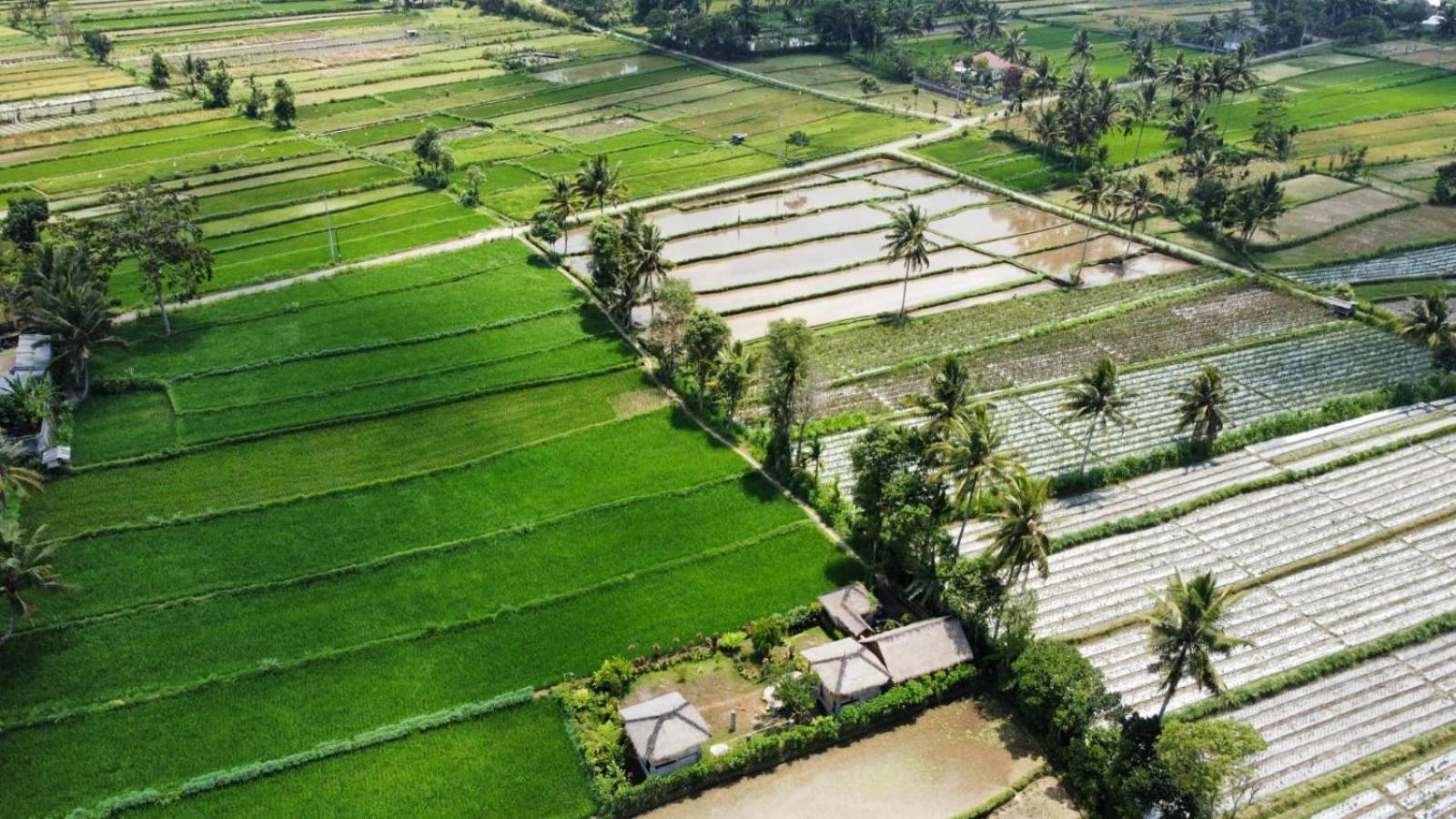 New Rinjani Homestay Tetebatu Zimmer foto