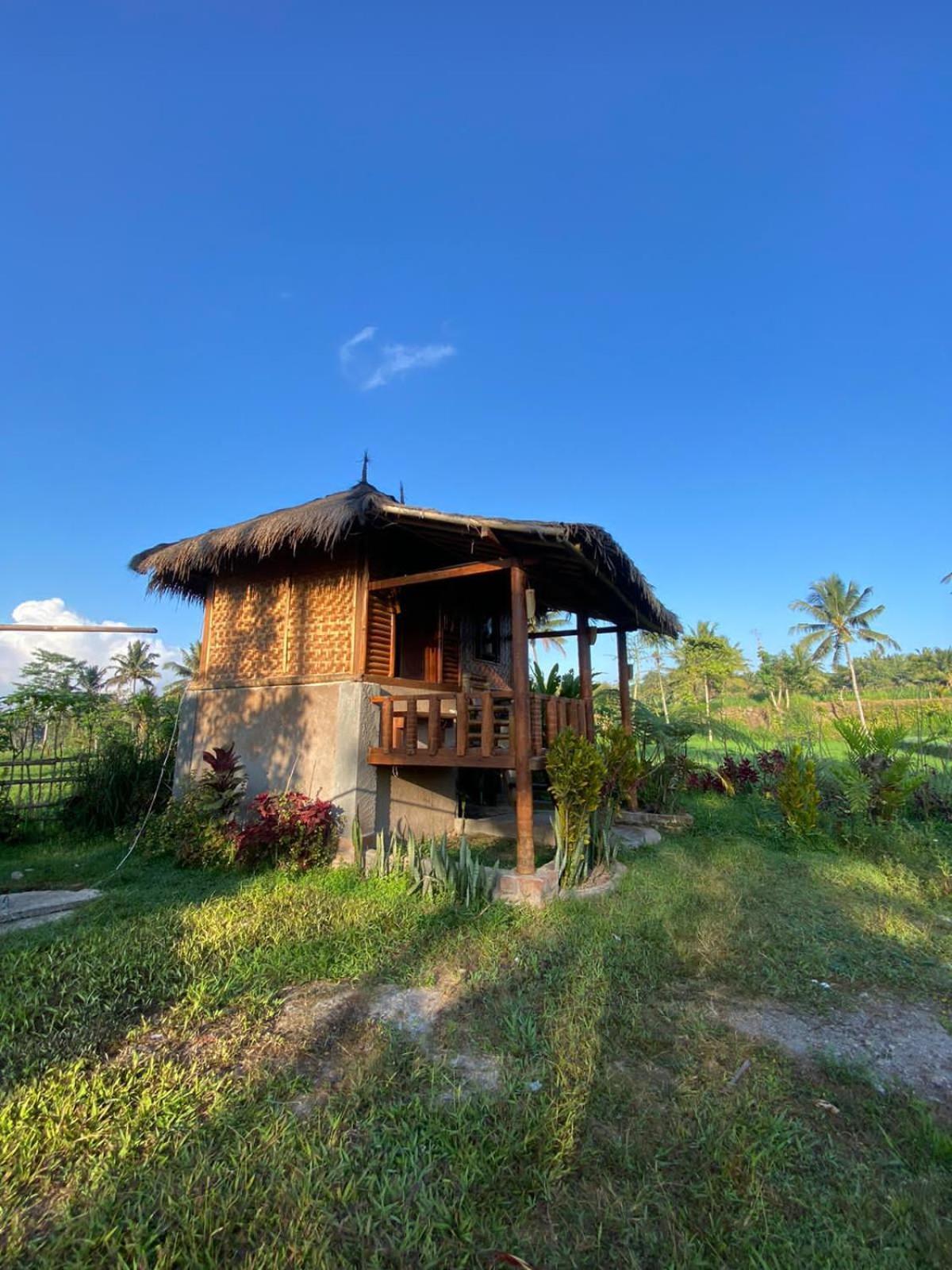 New Rinjani Homestay Tetebatu Exterior foto