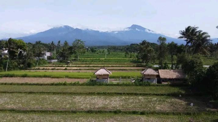 New Rinjani Homestay Tetebatu Exterior foto