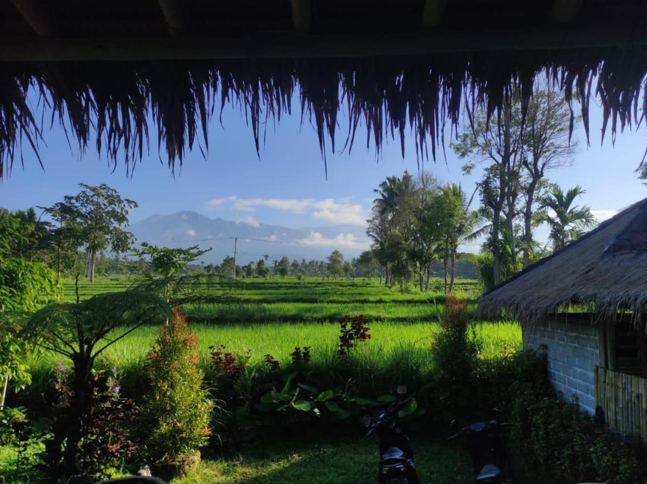 New Rinjani Homestay Tetebatu Exterior foto