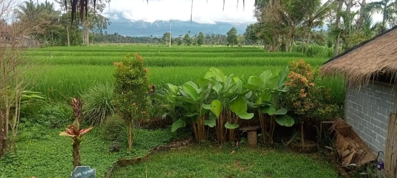 New Rinjani Homestay Tetebatu Zimmer foto