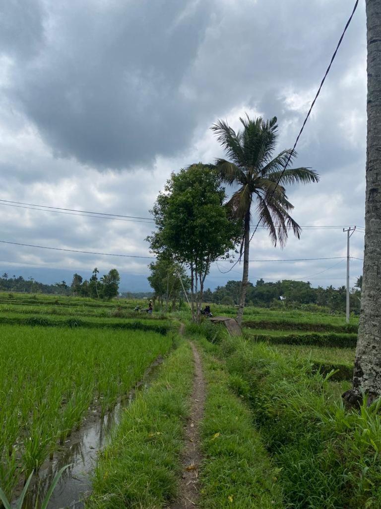 New Rinjani Homestay Tetebatu Zimmer foto