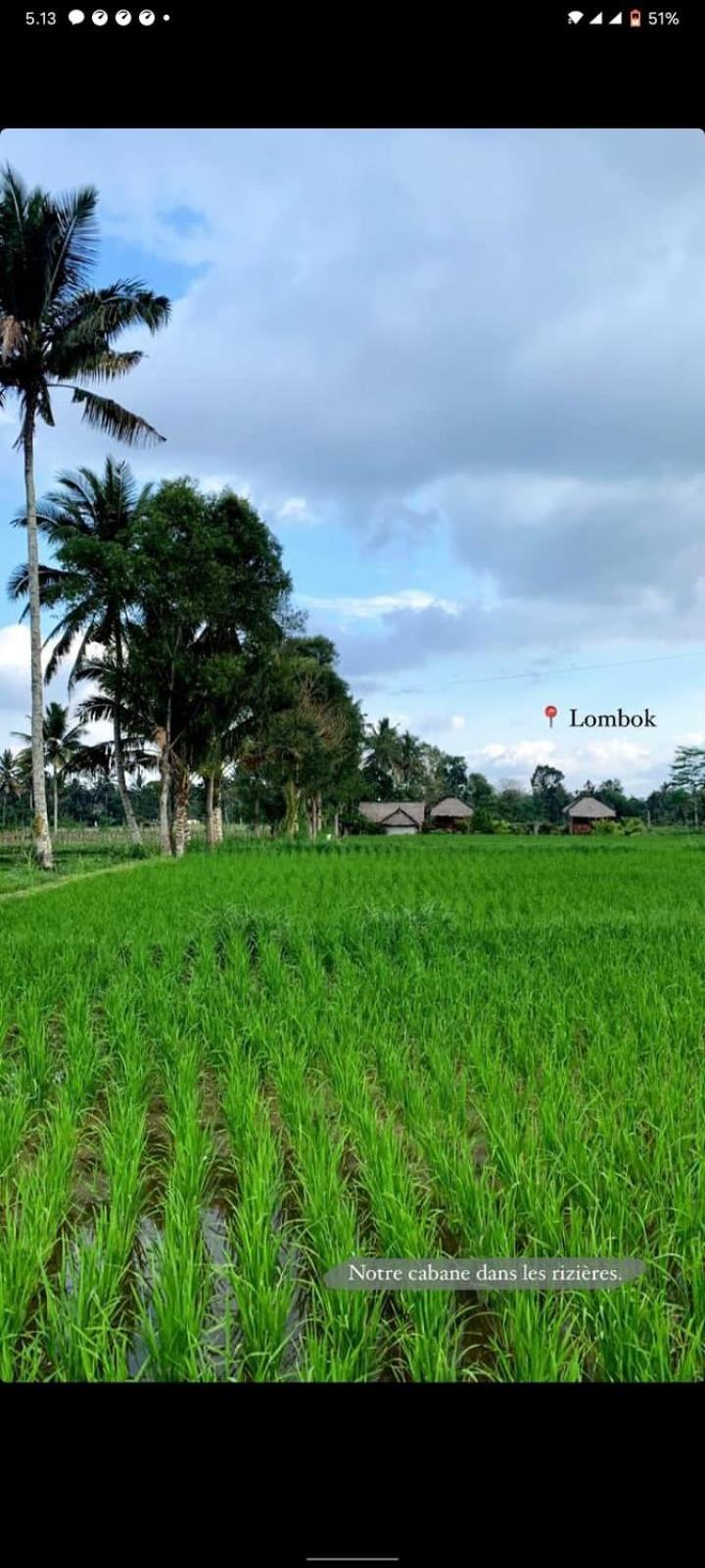 New Rinjani Homestay Tetebatu Zimmer foto