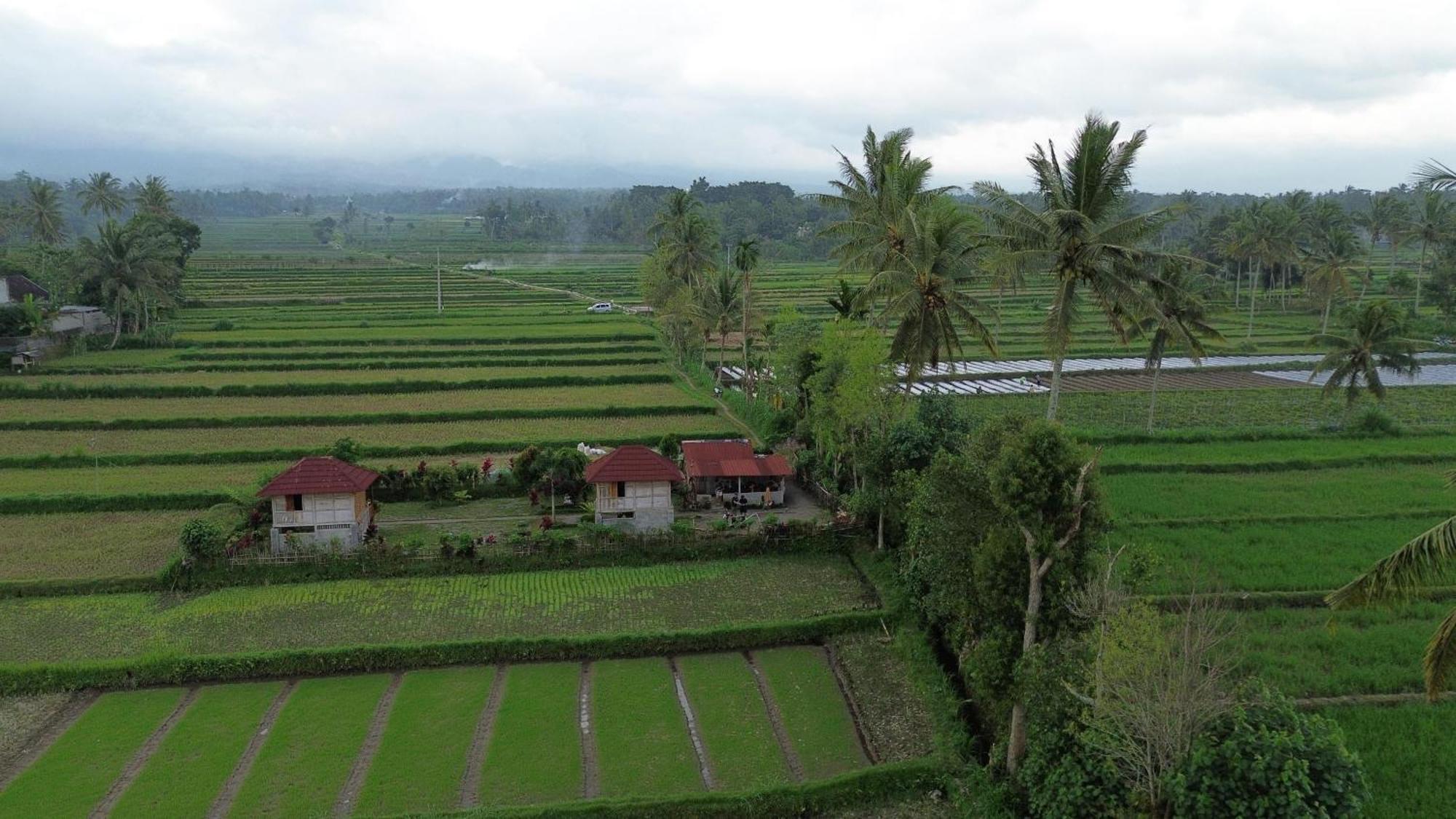 New Rinjani Homestay Tetebatu Exterior foto