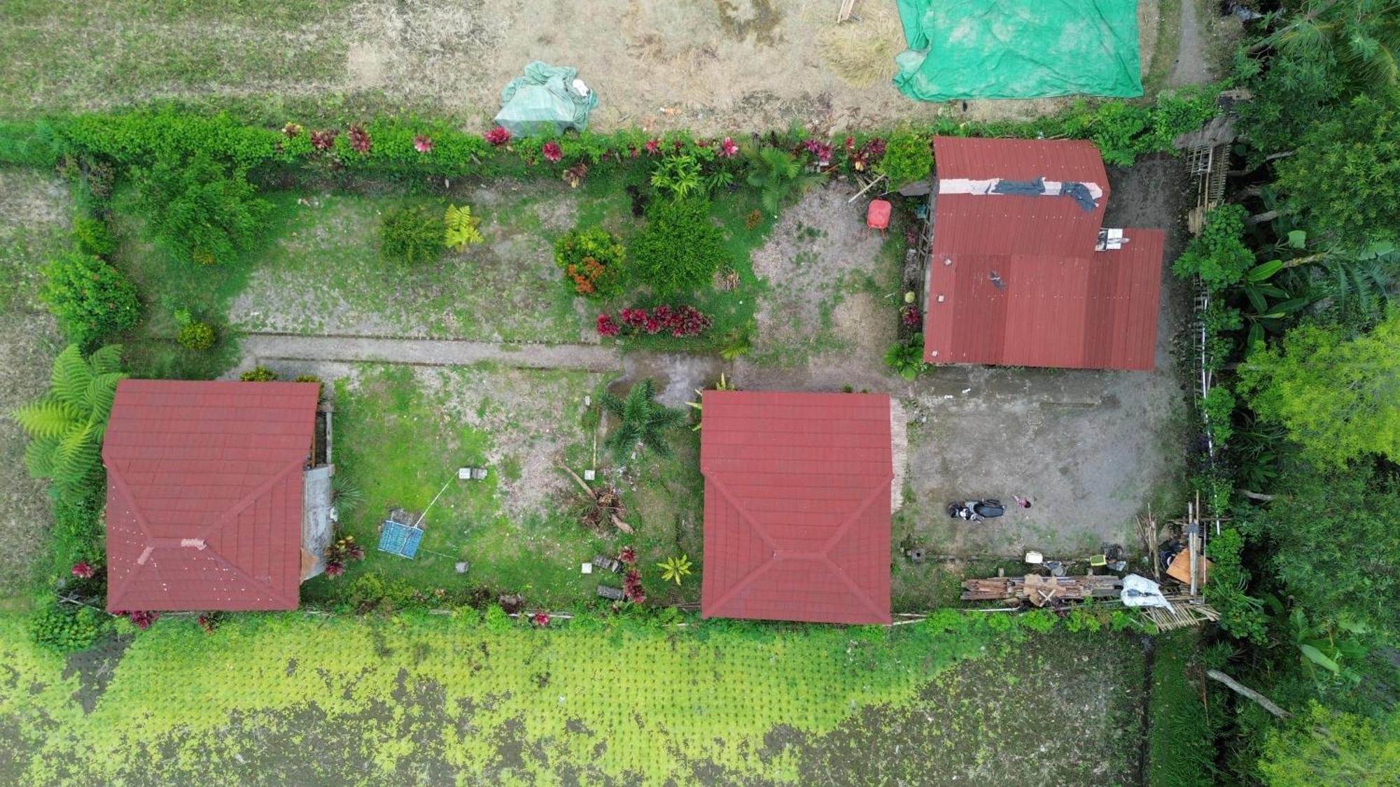 New Rinjani Homestay Tetebatu Exterior foto